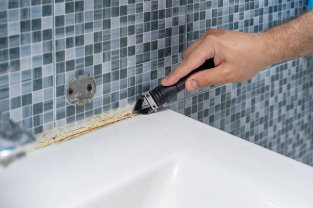 Best Post-Flood Mold Remediation in West Bradenton, FL